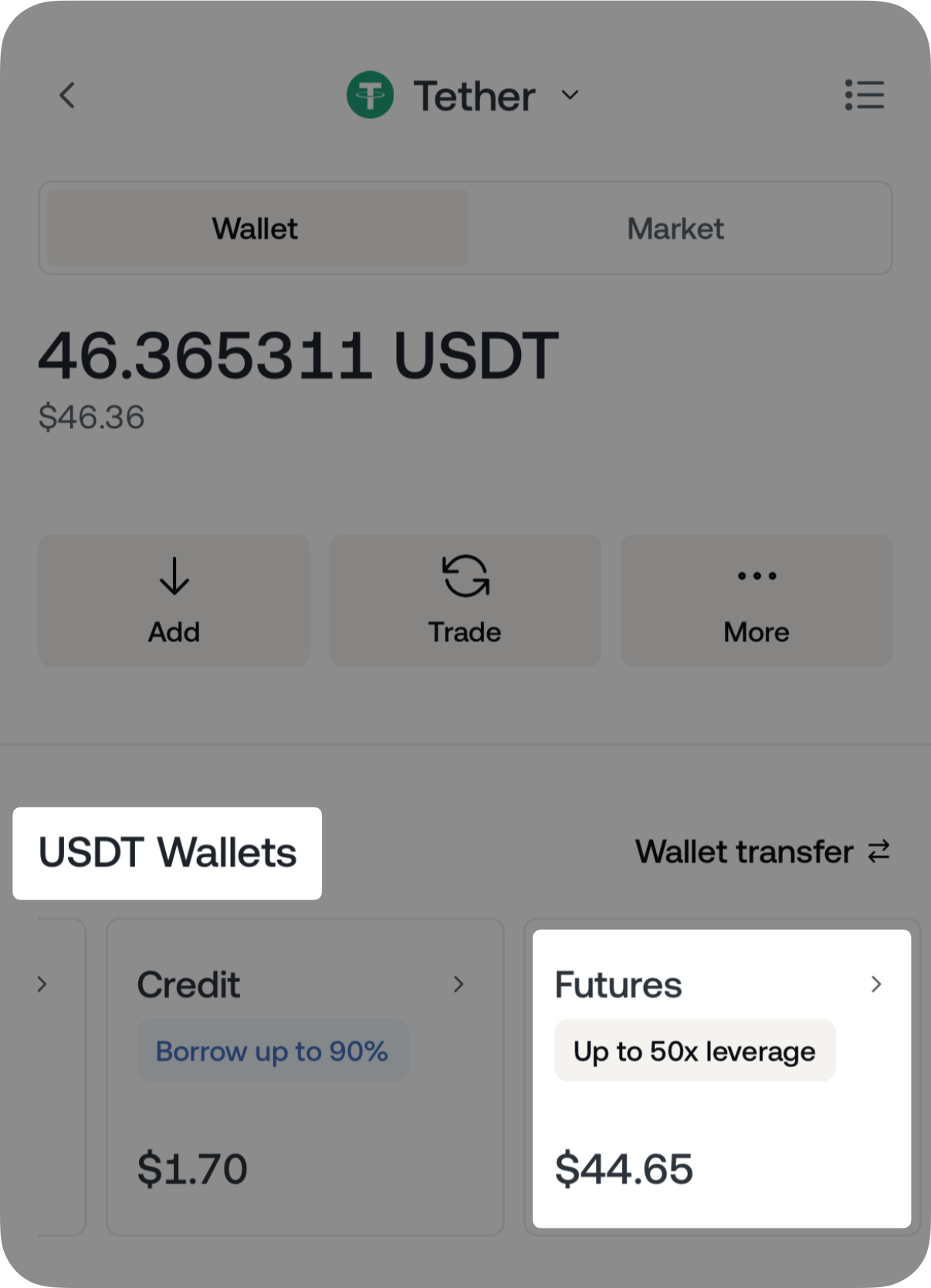 check futures balance.png